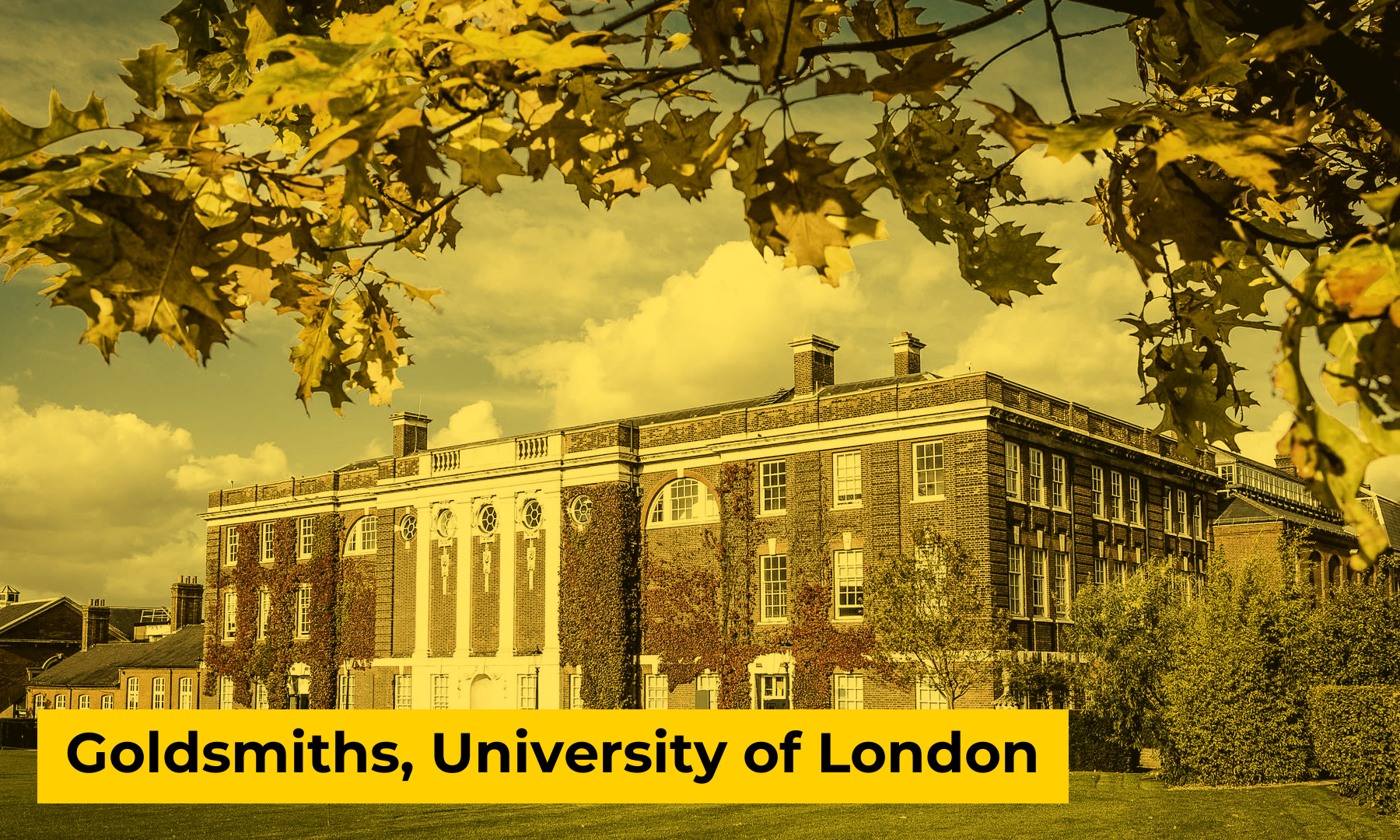 Goldsmiths, University of London